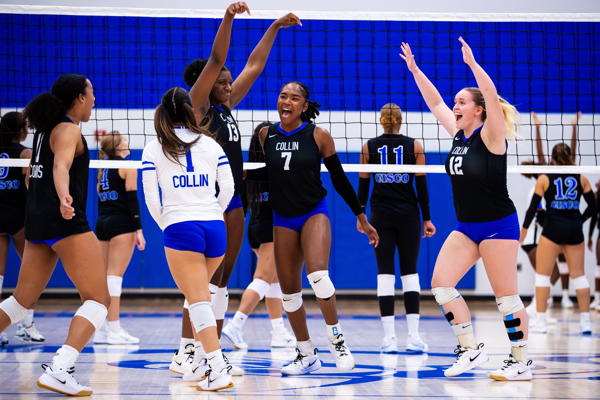 Cougars Down Cisco in Four